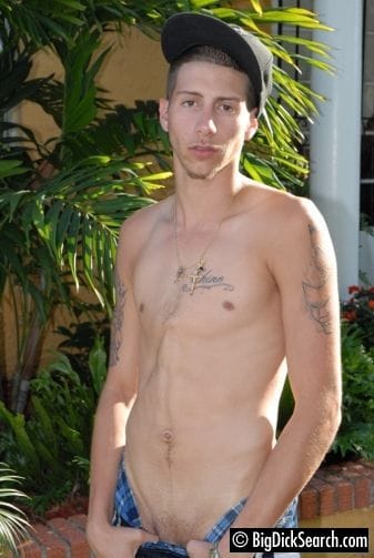 bogdocksearch-tato-sweet-2 bogdocksearch-tato-sweet-2