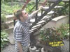 clip001.jpg