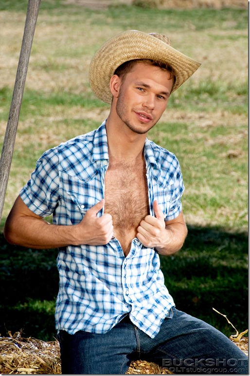 coltstudiogroup8